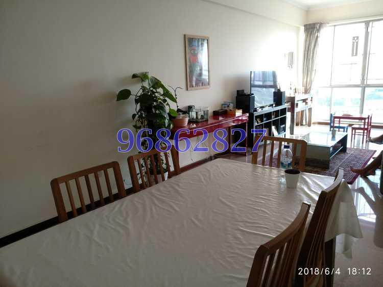 Bishan Loft (D20), Condominium #173866592